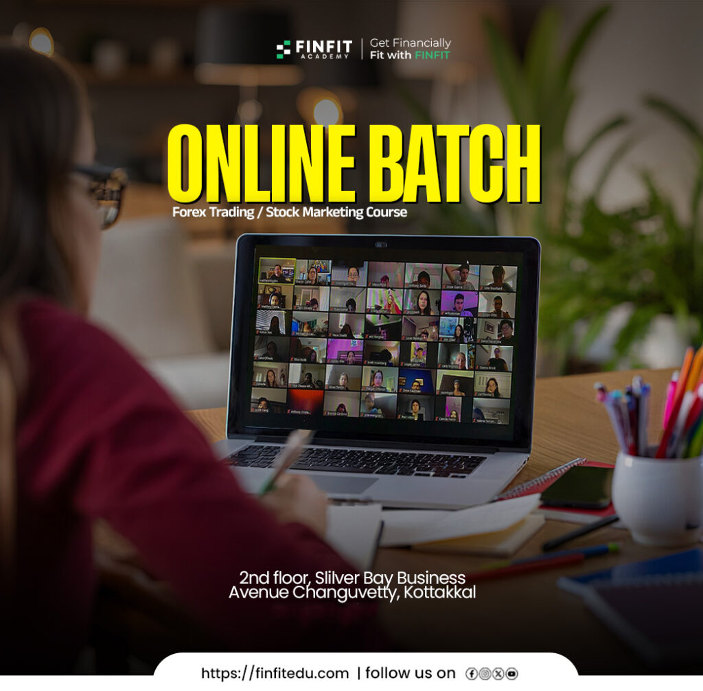 online batch finfit
